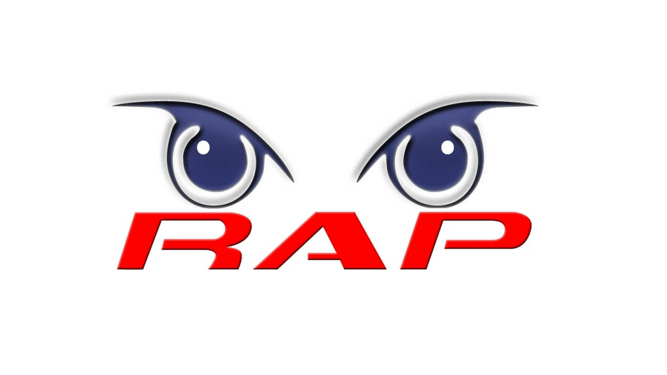 RAP - Segurança Electrónica