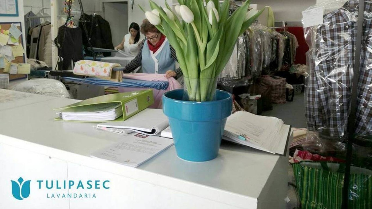 Lavandaria Tulipasec