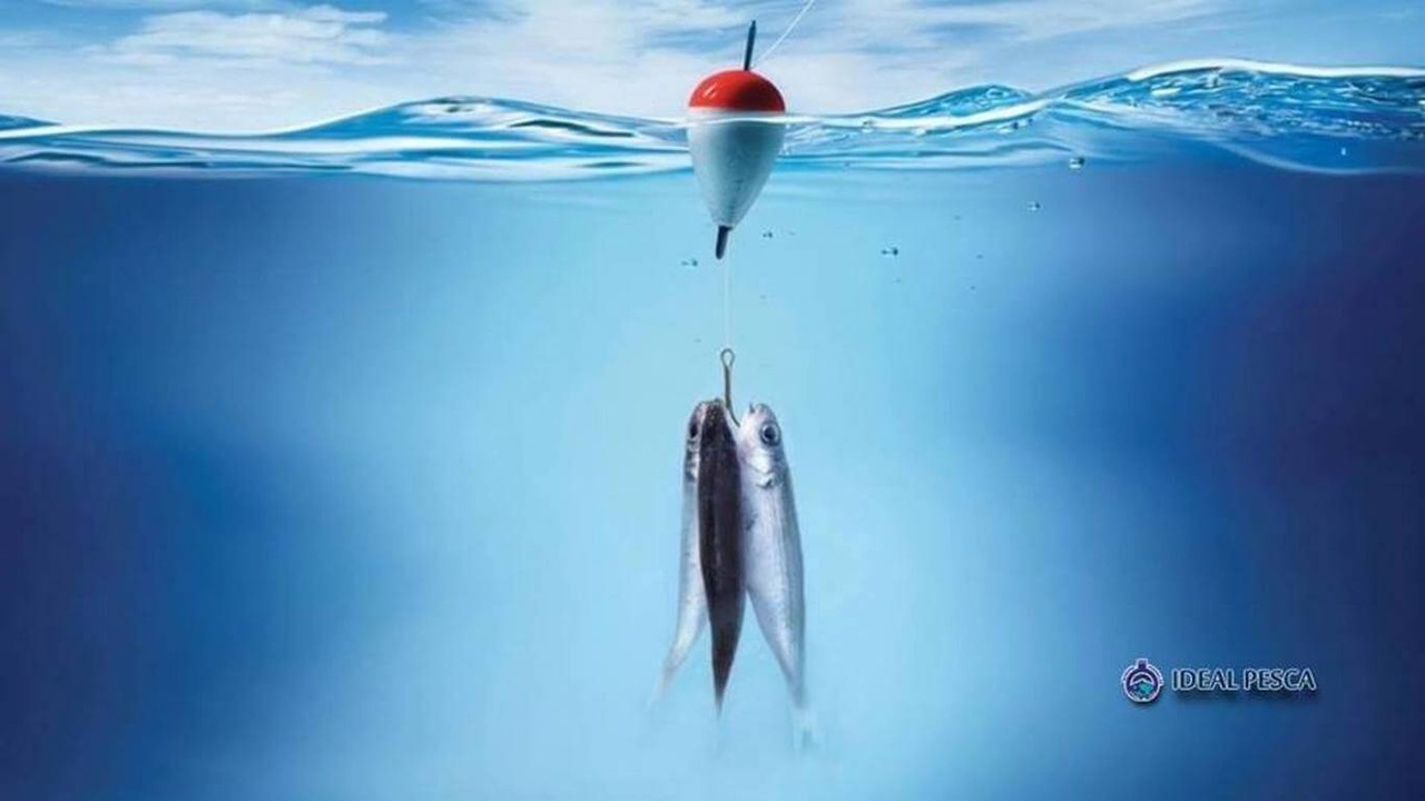 Ideal Pesca
