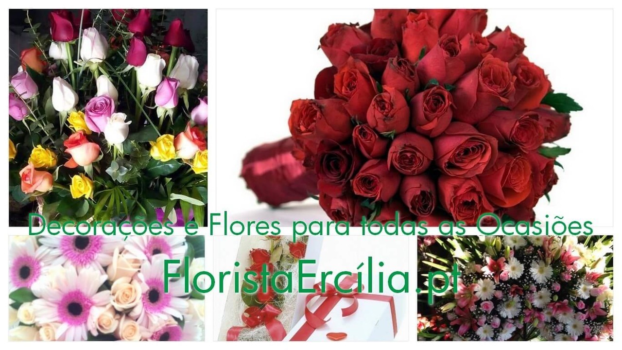 Florista Ercília